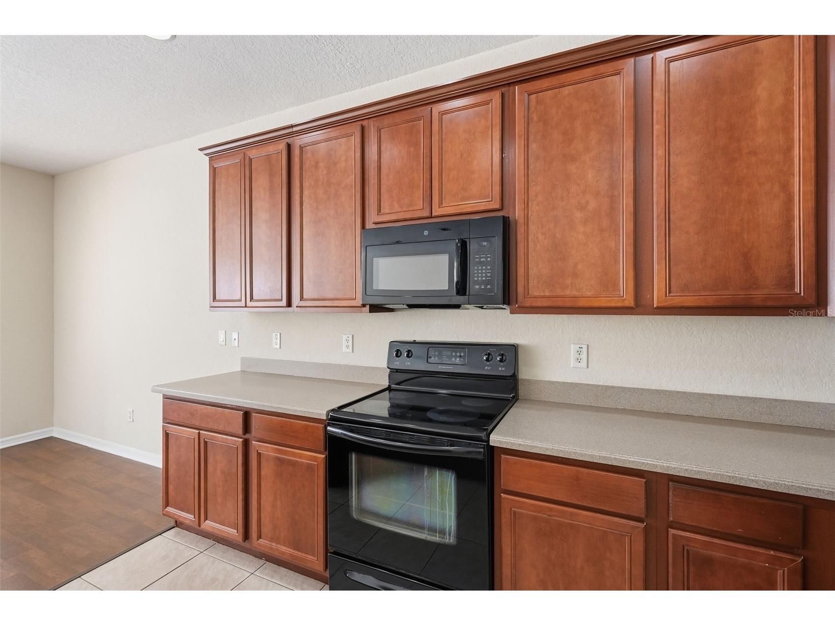 27004 Cool Stream Lane Wesley Chapel FL 33544 TB8486494 image10