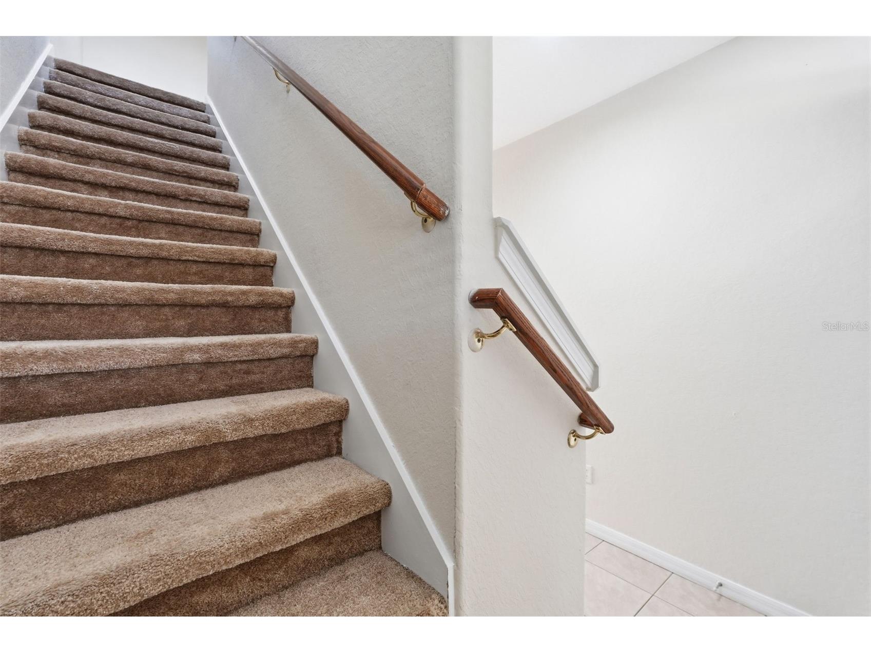 27004 Cool Stream Lane Wesley Chapel FL 33544 TB8486494 image16