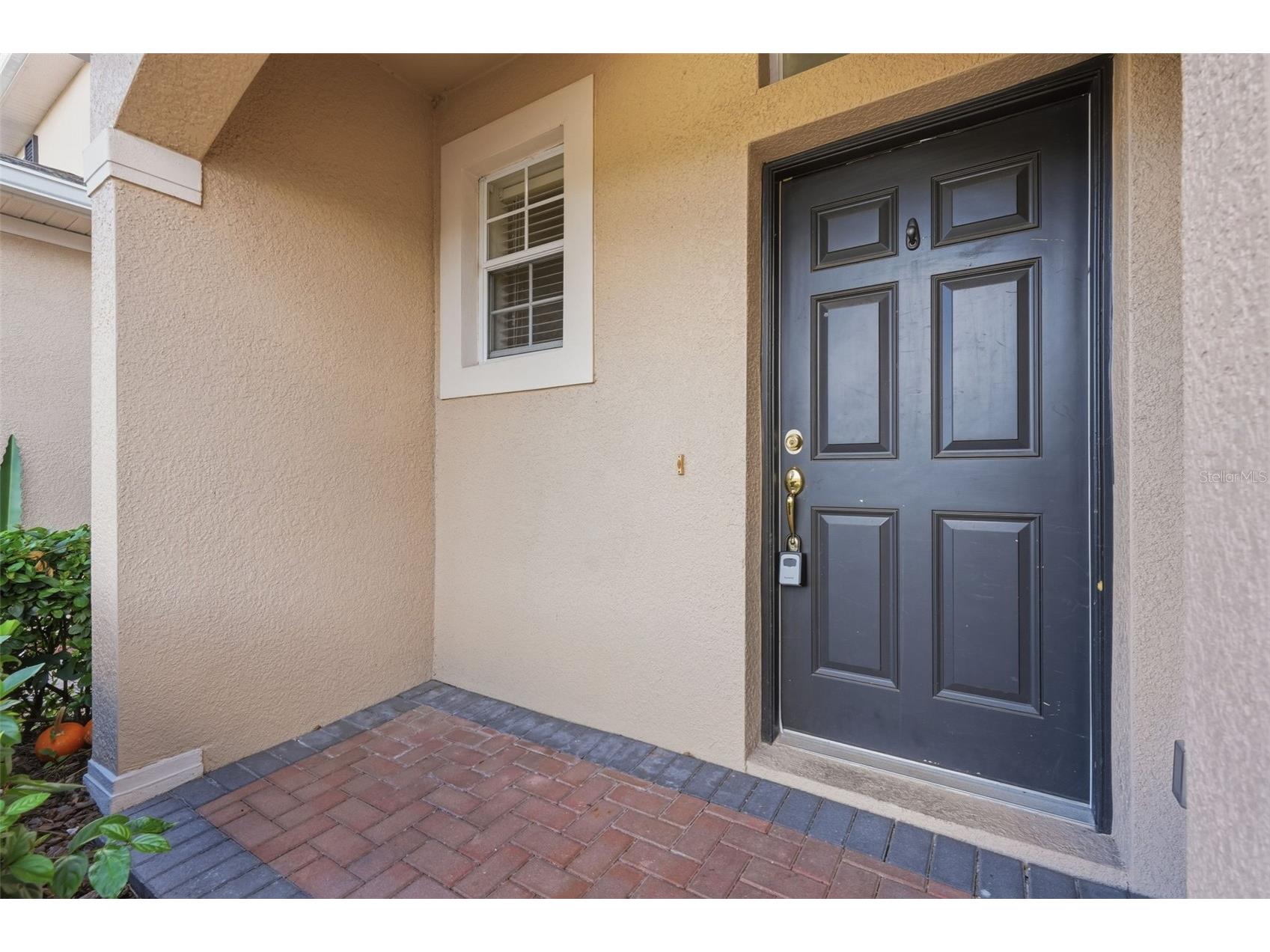 27004 Cool Stream Lane Wesley Chapel FL 33544 TB8486494 image3