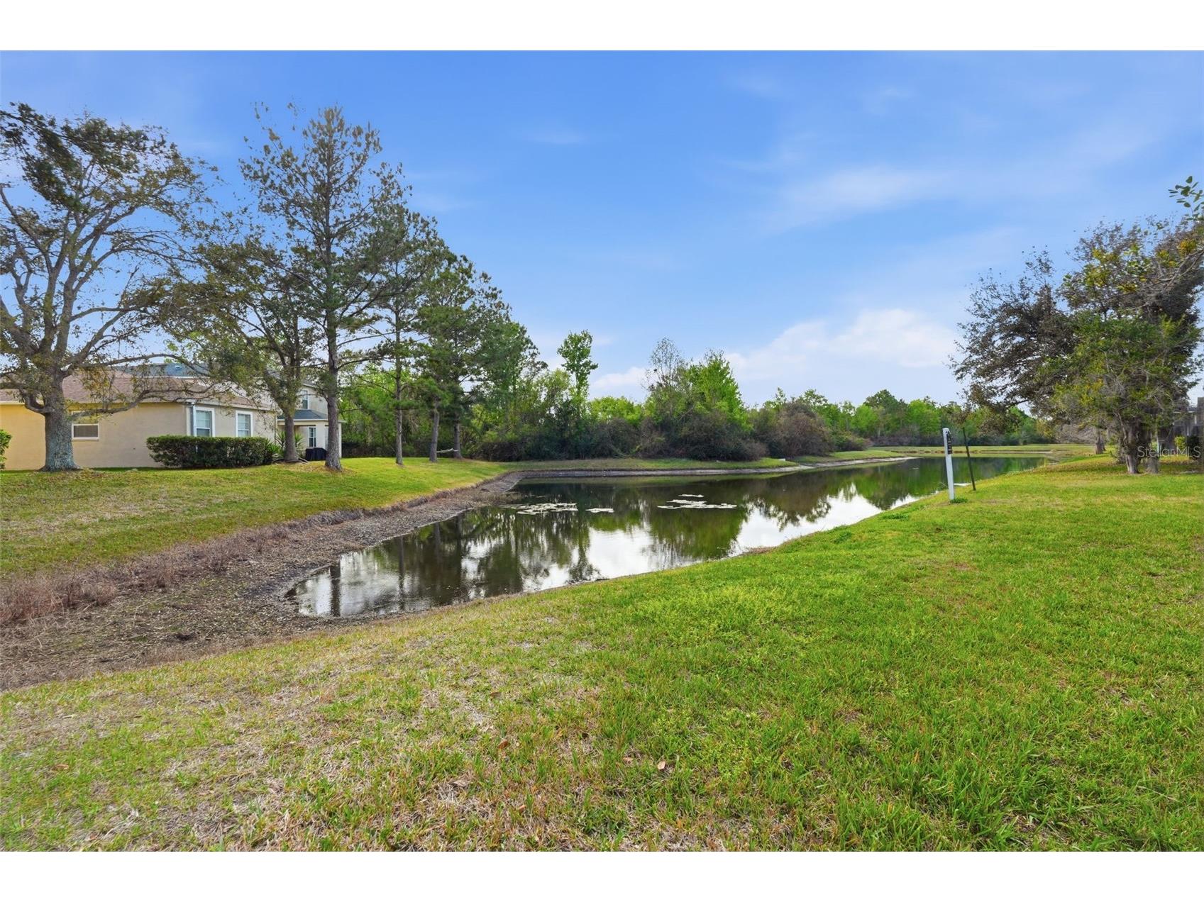 27004 Cool Stream Lane Wesley Chapel FL 33544 TB8486494 image37