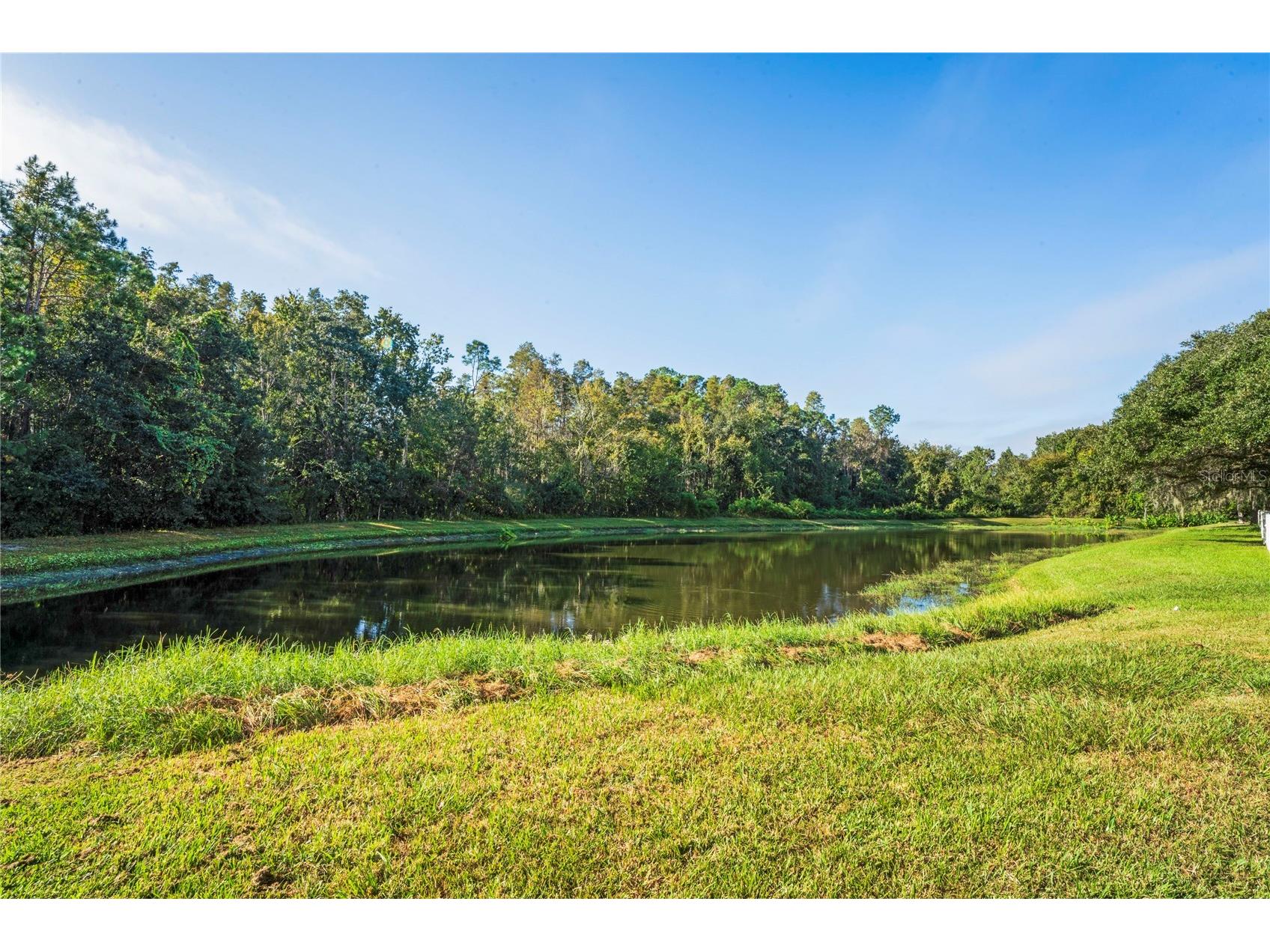 27004 Stillbrook Drive Wesley Chapel FL 33544 TB8439018 image24