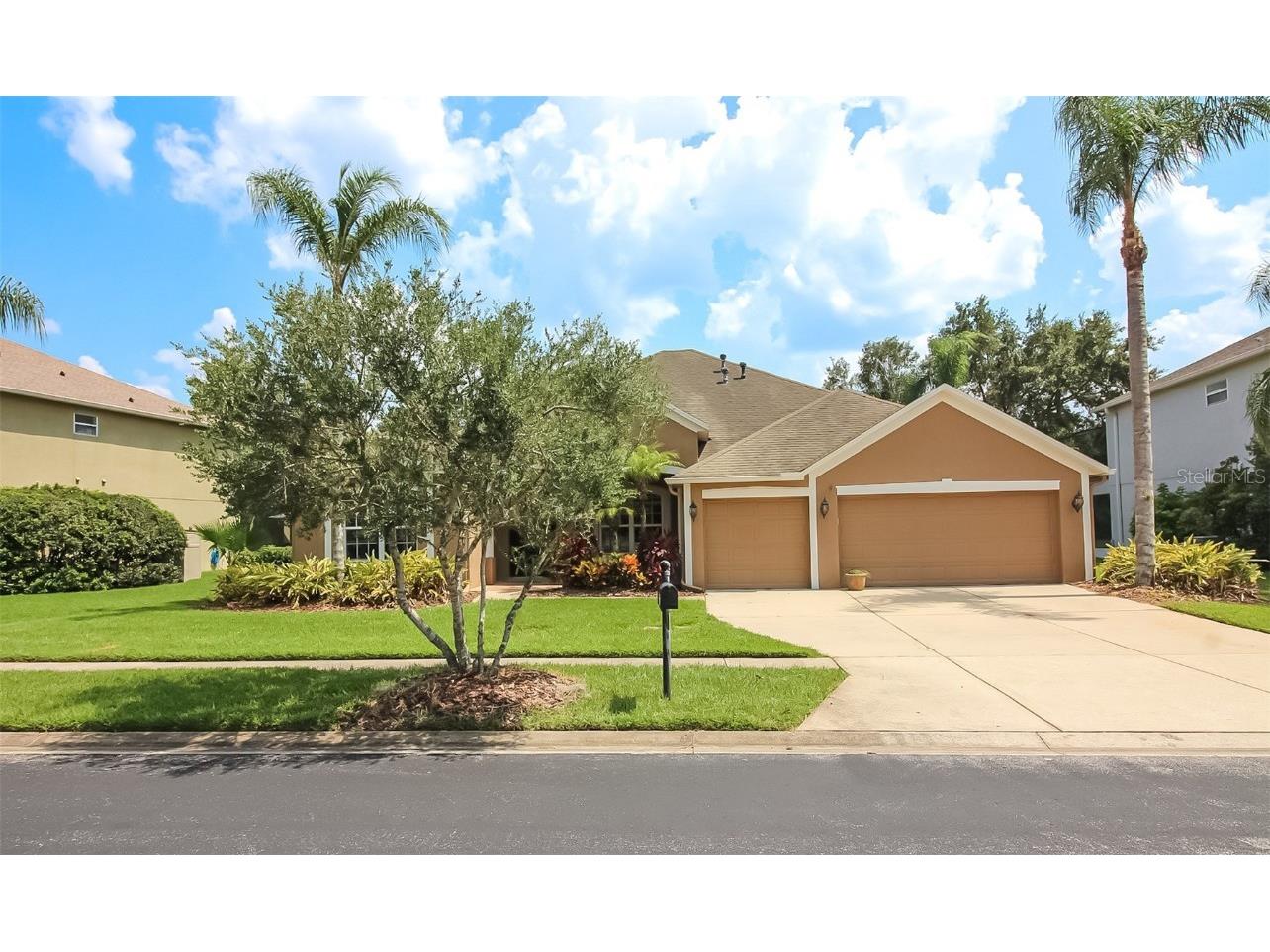 27007 Fordham Drive Wesley Chapel FL 33544 T3456862 image1