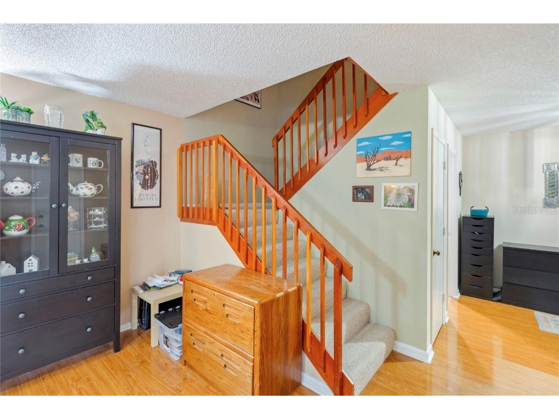 2701 3rd Court Palm Harbor FL 34684 TB8437444 image14