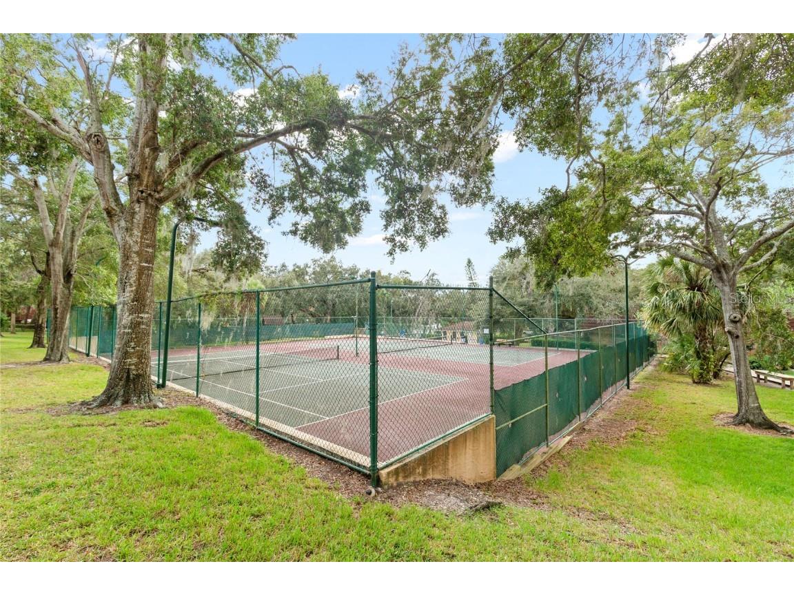 2701 3rd Court Palm Harbor FL 34684 TB8437444 image32