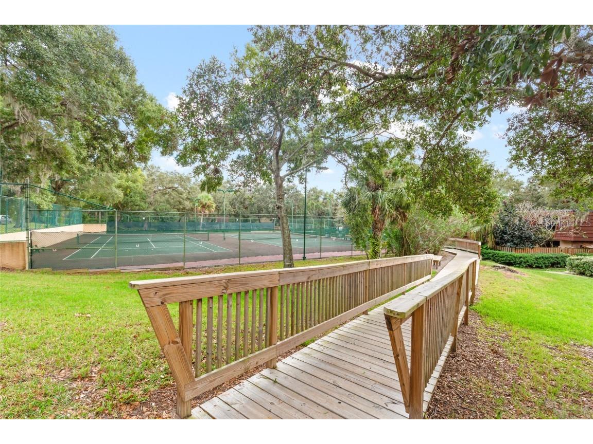 2701 3rd Court Palm Harbor FL 34684 TB8437444 image35