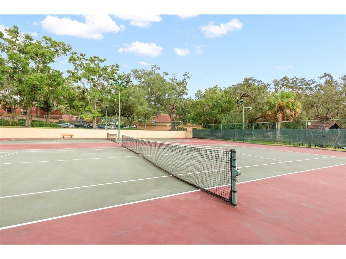 2701 3rd Court Palm Harbor FL 34684 TB8437444 image36