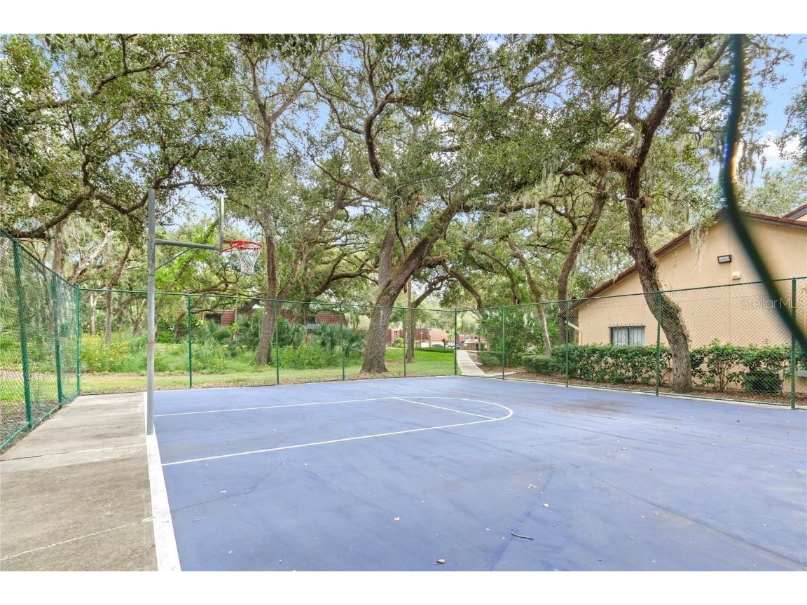 2701 3rd Court Palm Harbor FL 34684 TB8437444 image37