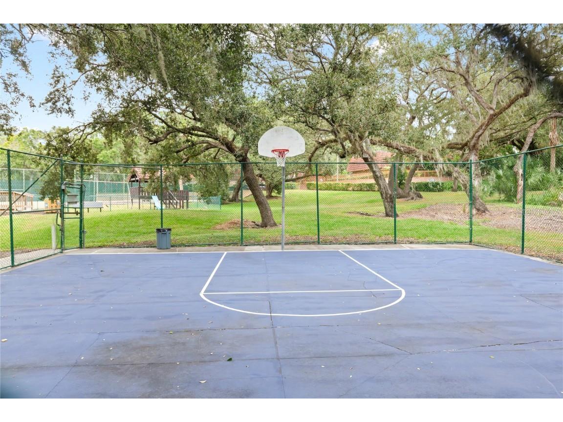 2701 3rd Court Palm Harbor FL 34684 TB8437444 image38