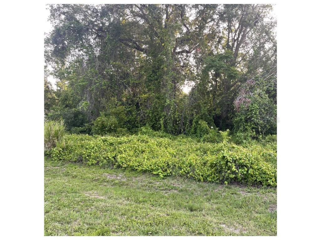 2701 Kingfisher Village Deland FL 32720 V4943147 image5