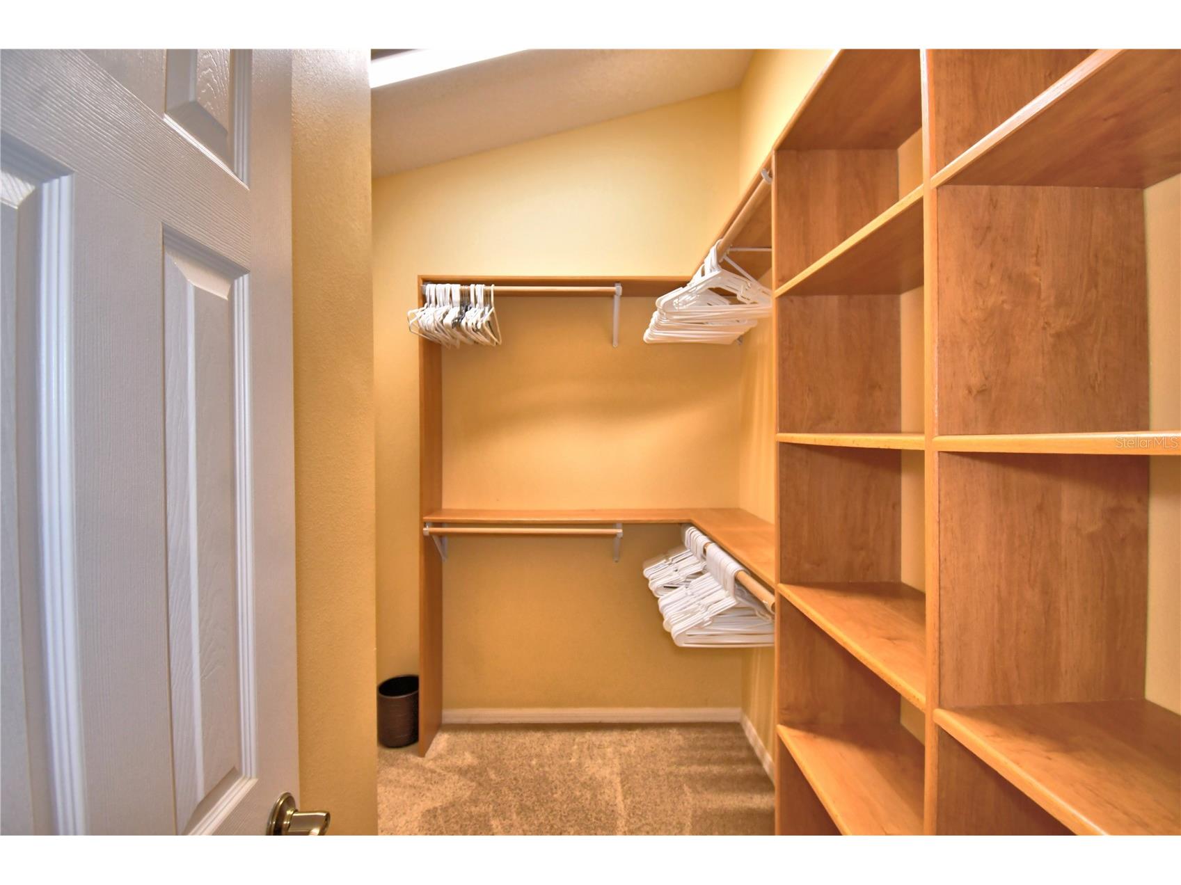 2701 Kokomo Loop Haines City FL 33844 P4938906 image39