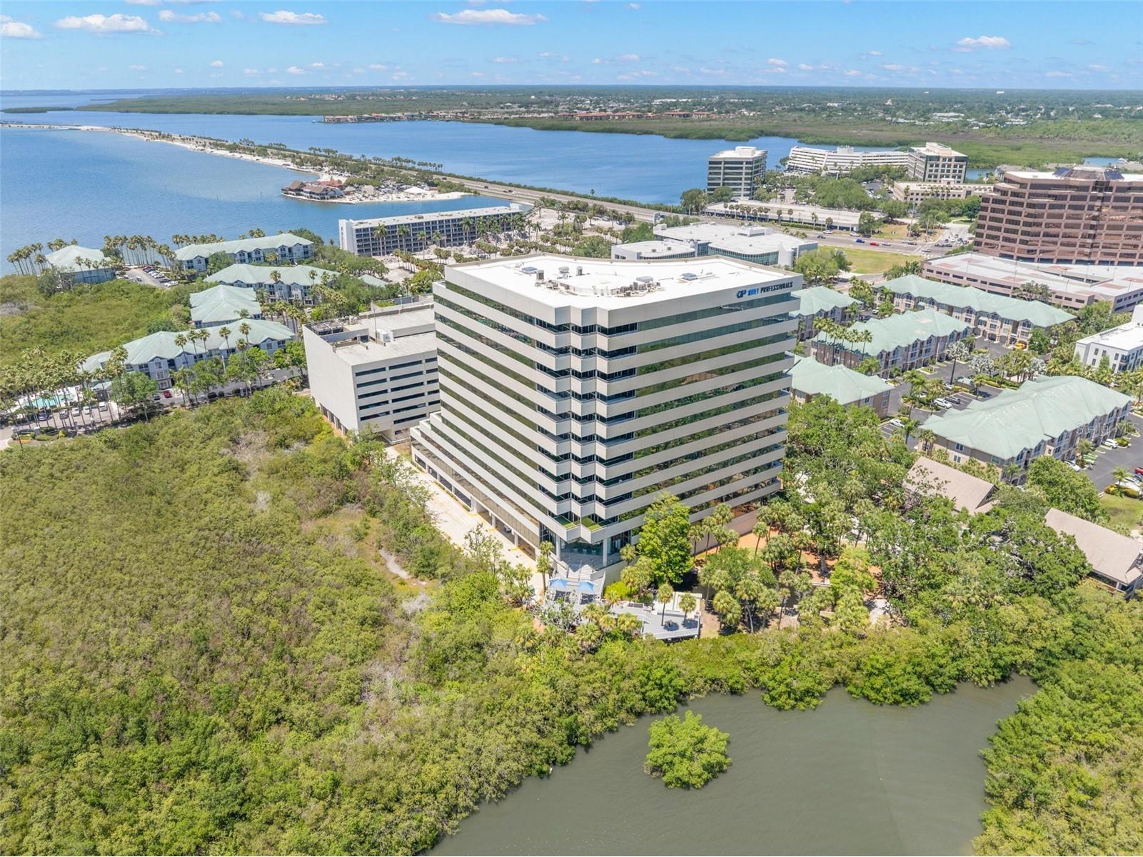 2701 N Rocky Point Drive #105 Tampa FL 33607 TB8509635 image28