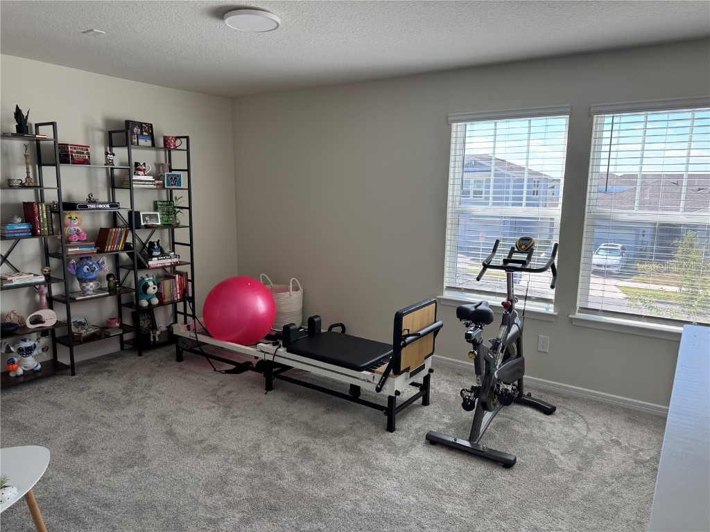 2701 Serenity Garden Drive Kissimmee FL 34744 O6362949 image14