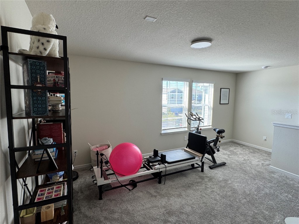 2701 Serenity Garden Drive Kissimmee FL 34744 O6362949 image15