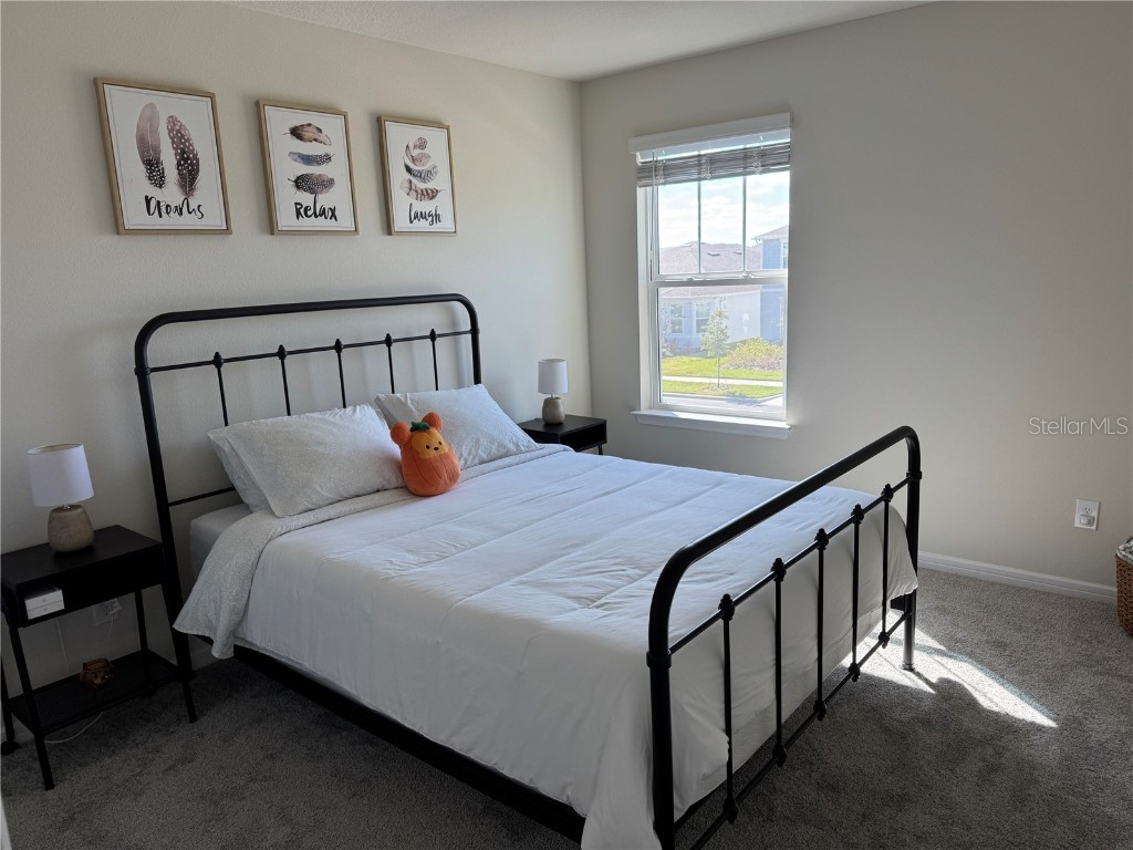 2701 Serenity Garden Drive Kissimmee FL 34744 O6362949 image16