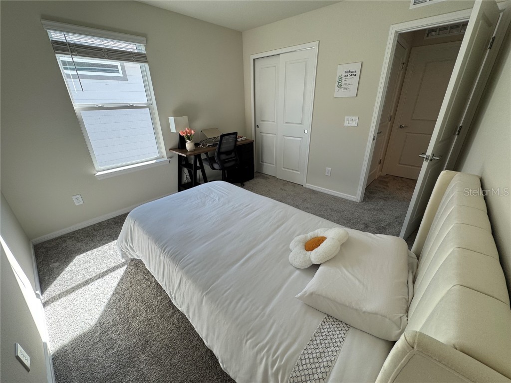 2701 Serenity Garden Drive Kissimmee FL 34744 O6362949 image19