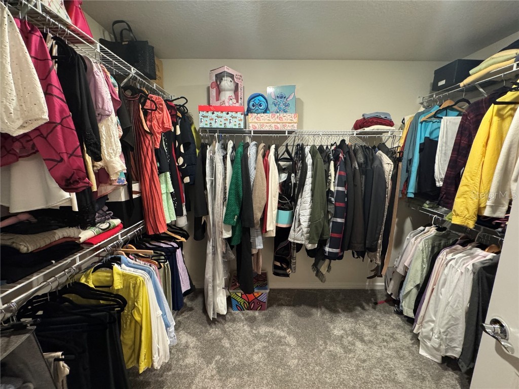 2701 Serenity Garden Drive Kissimmee FL 34744 O6362949 image22