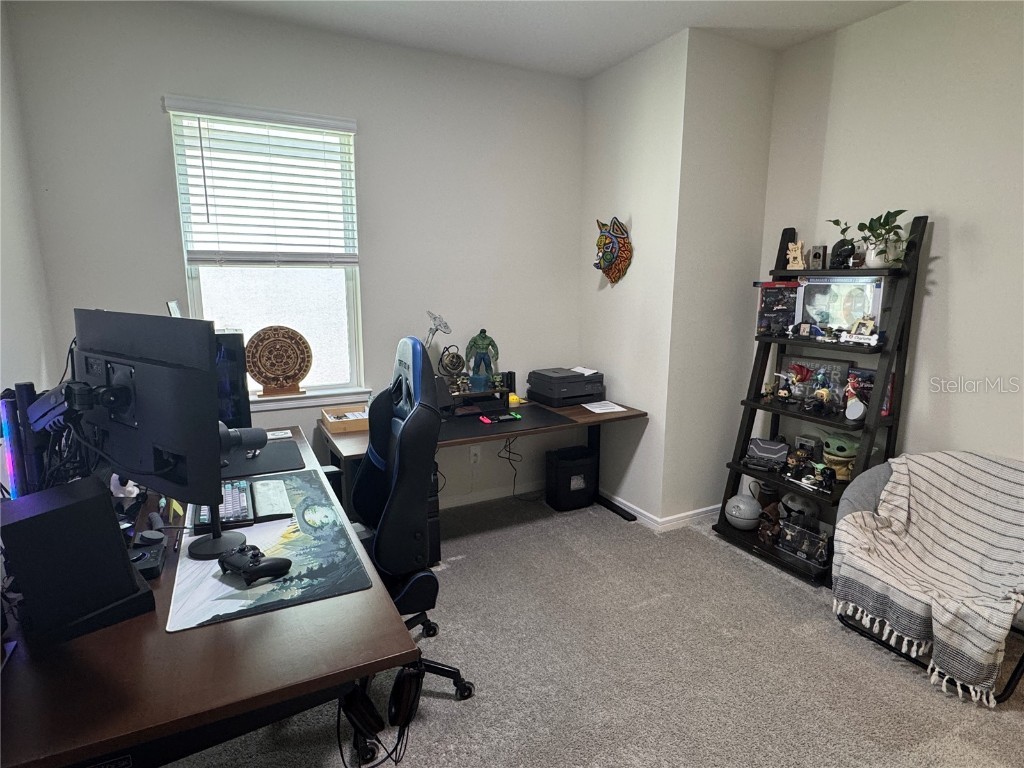 2701 Serenity Garden Drive Kissimmee FL 34744 O6362949 image24