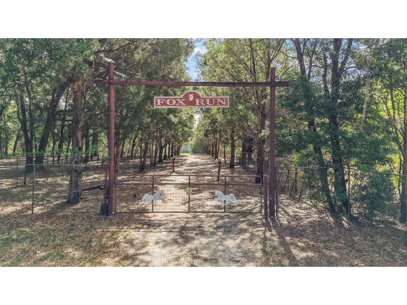 27011 SE Highway 42 Umatilla FL 32784 G5096544 image1