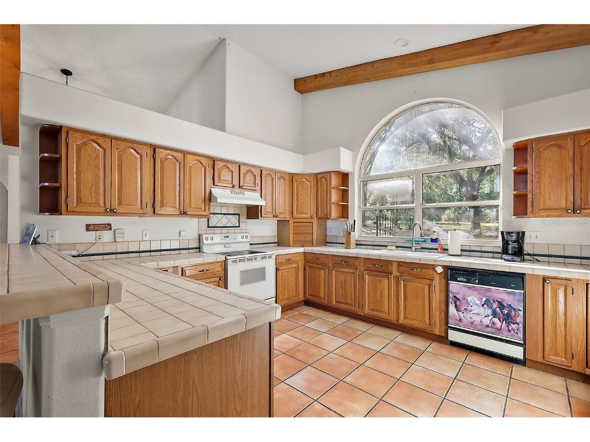 27011 SE Highway 42 Umatilla FL 32784 G5096544 image10