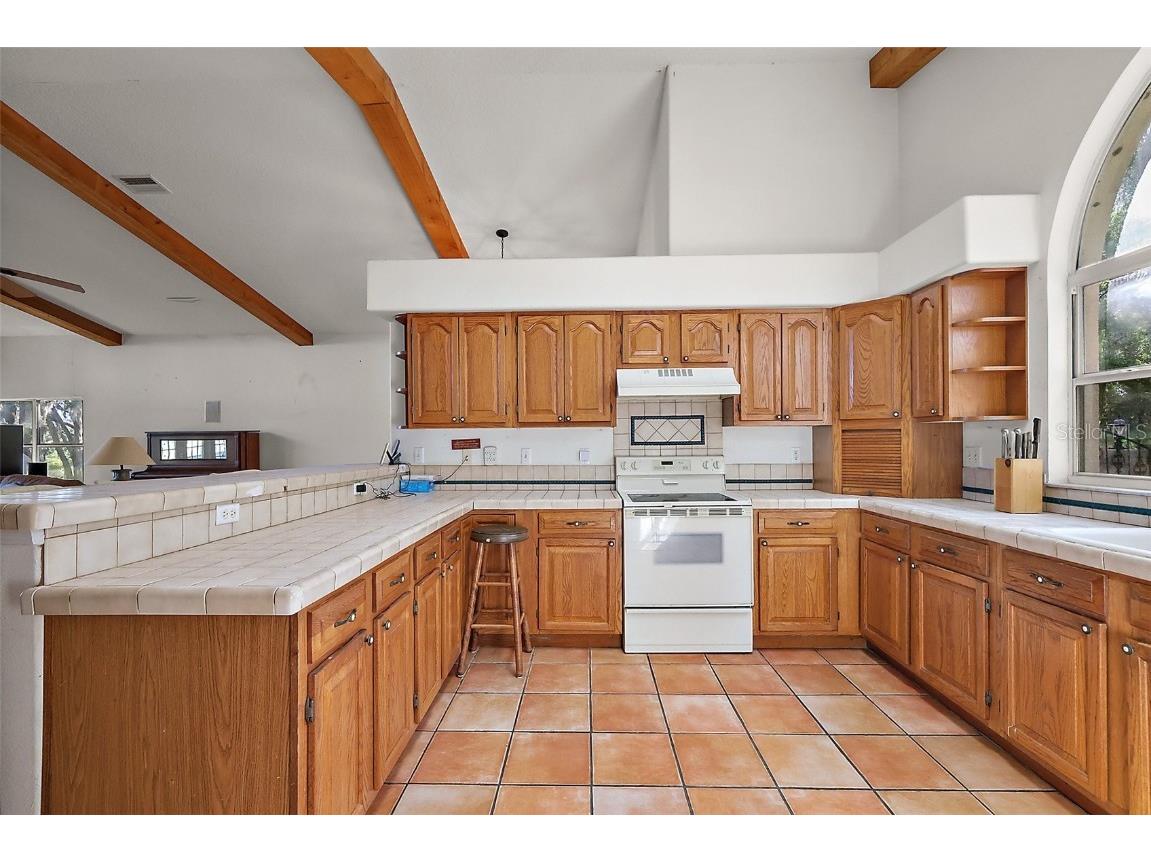 27011 SE Highway 42 Umatilla FL 32784 G5096544 image11