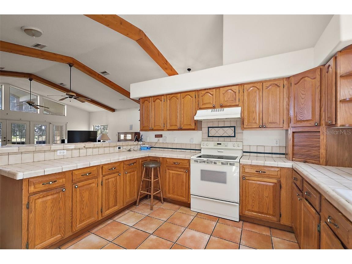 27011 SE Highway 42 Umatilla FL 32784 G5096544 image12