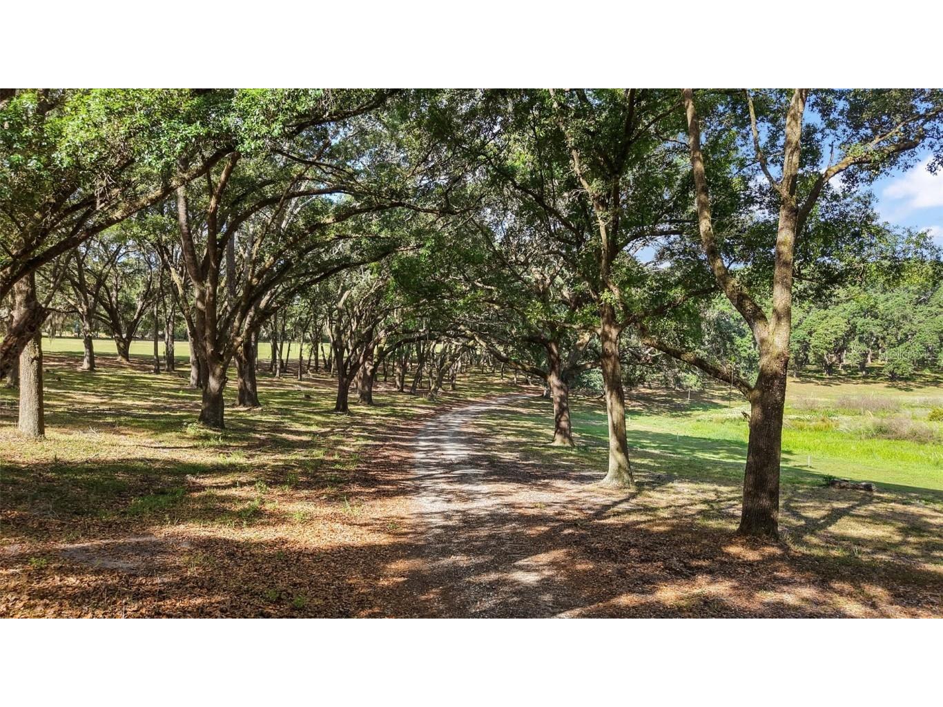 27011 SE Highway 42 Umatilla FL 32784 G5096544 image33