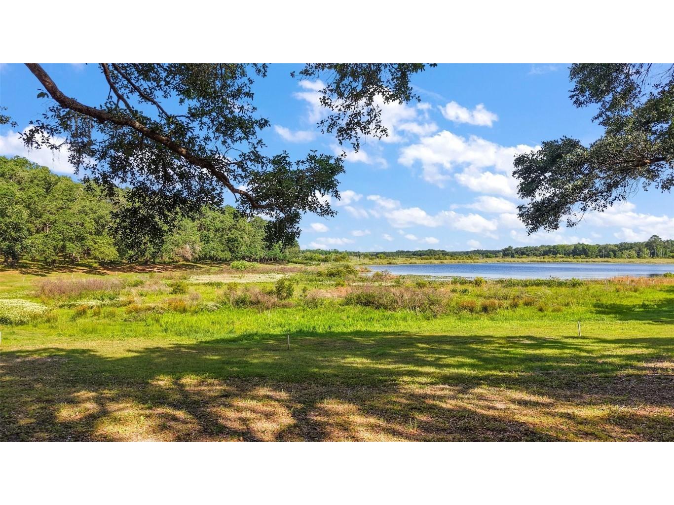 27011 SE Highway 42 Umatilla FL 32784 G5096544 image34