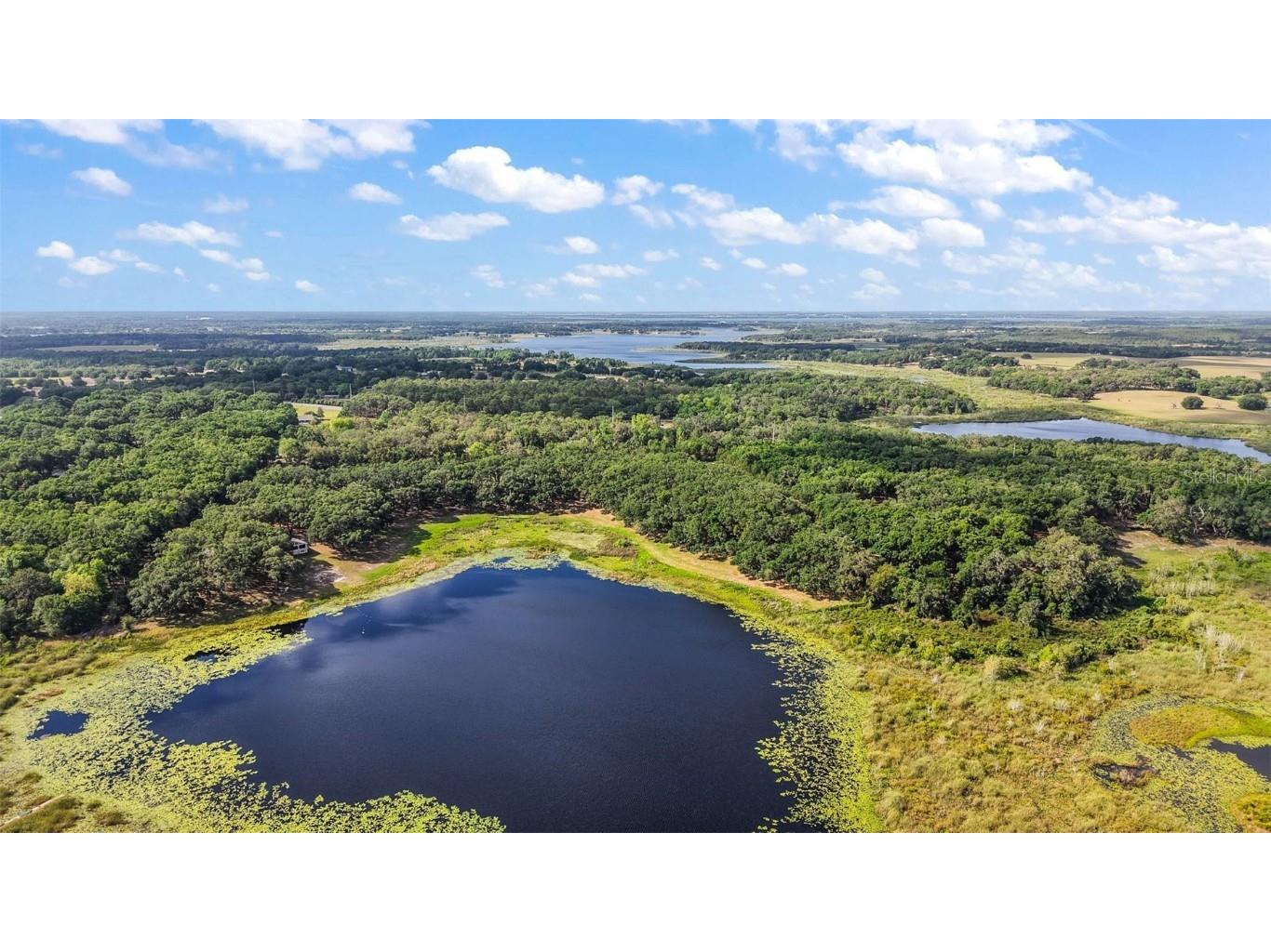 27011 SE Highway 42 Umatilla FL 32784 G5096544 image35