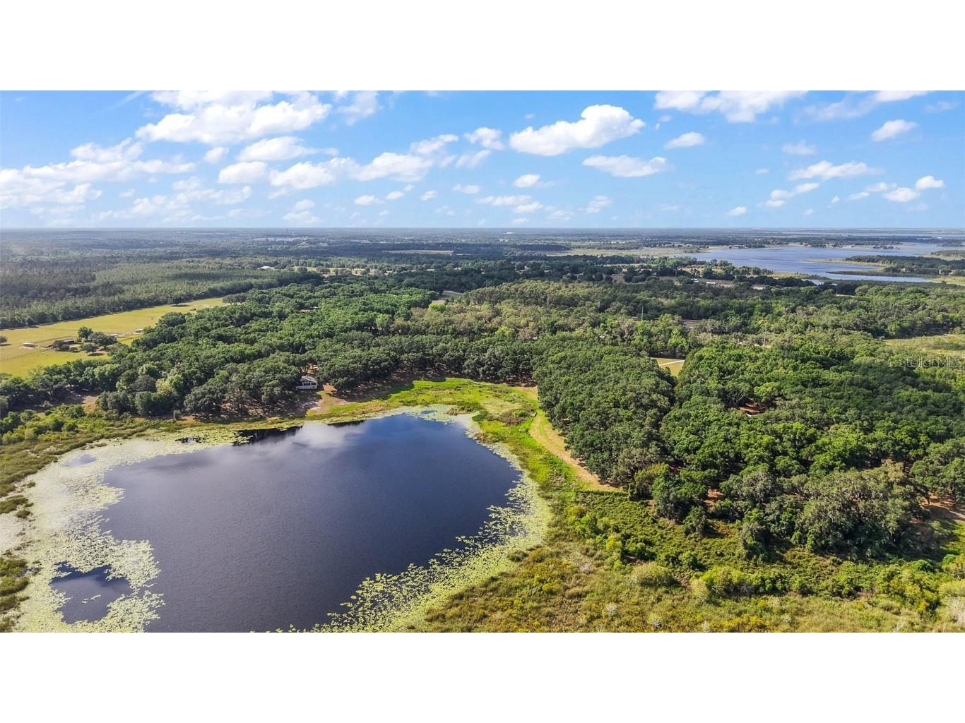 27011 SE Highway 42 Umatilla FL 32784 G5096544 image36