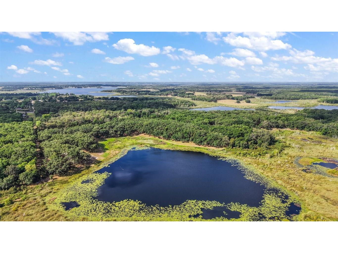 27011 SE Highway 42 Umatilla FL 32784 G5096544 image37