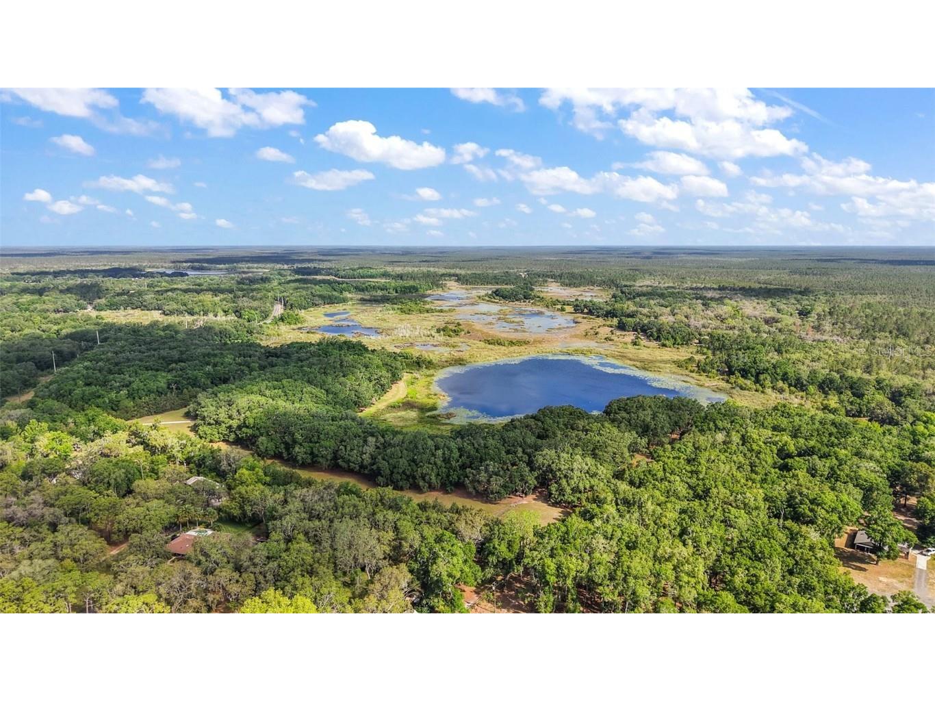 27011 SE Highway 42 Umatilla FL 32784 G5096544 image39