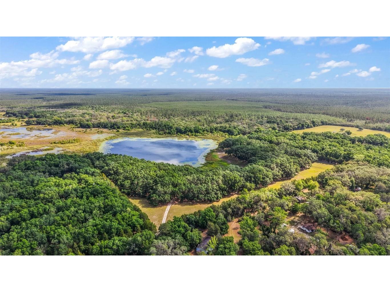 27011 SE Highway 42 Umatilla FL 32784 G5096544 image40