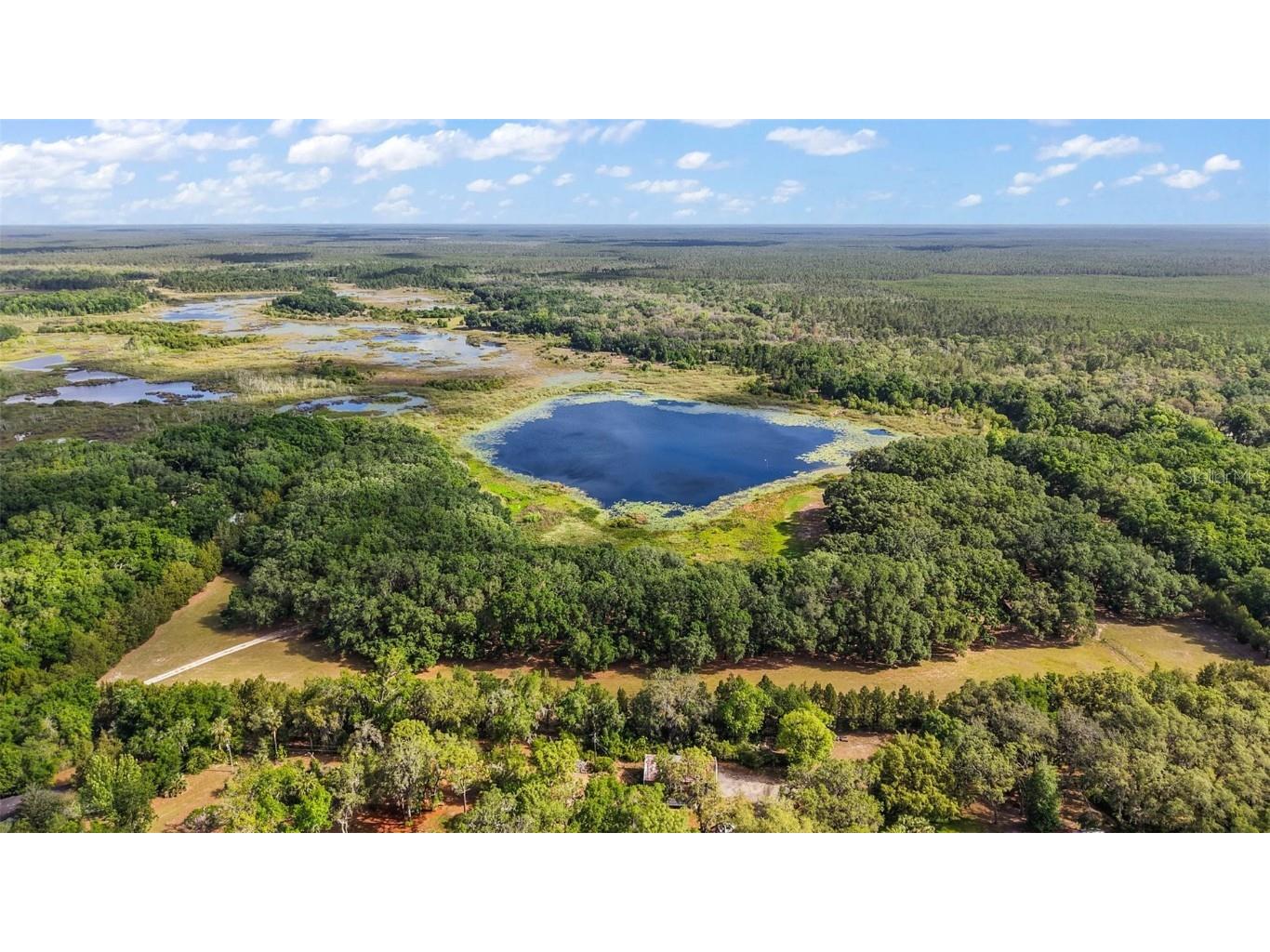 27011 SE Highway 42 Umatilla FL 32784 G5096544 image43