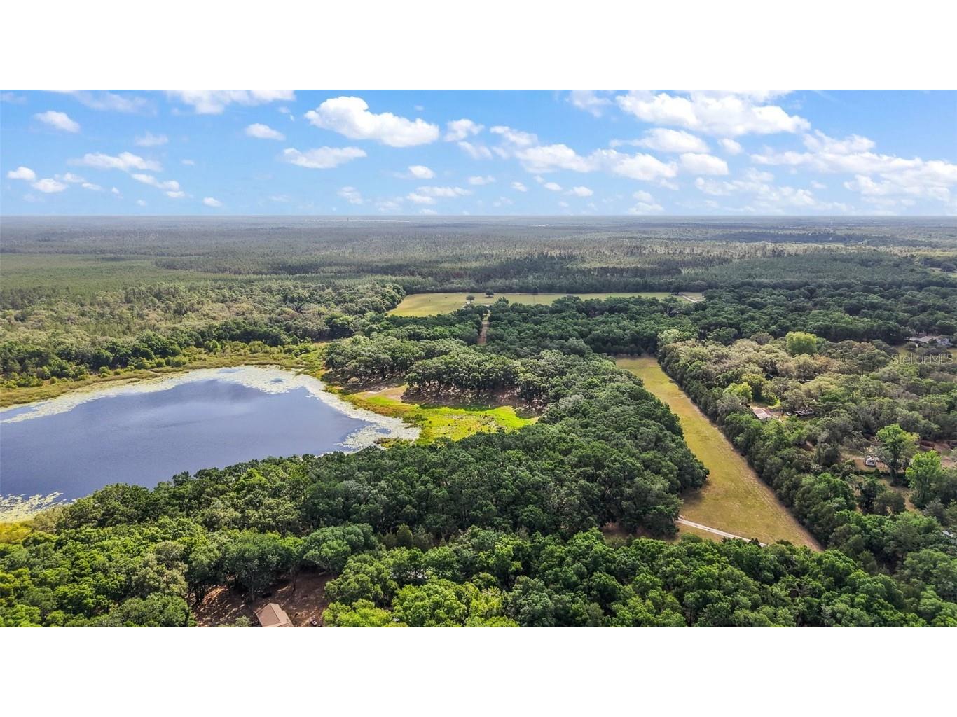 27011 SE Highway 42 Umatilla FL 32784 G5096544 image44