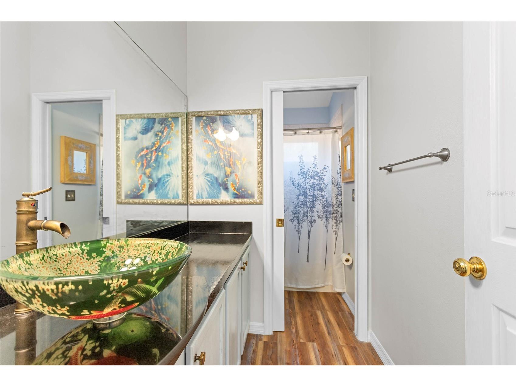 27012 Sea Breeze Way Wesley Chapel FL 33544 TB8491386 image36