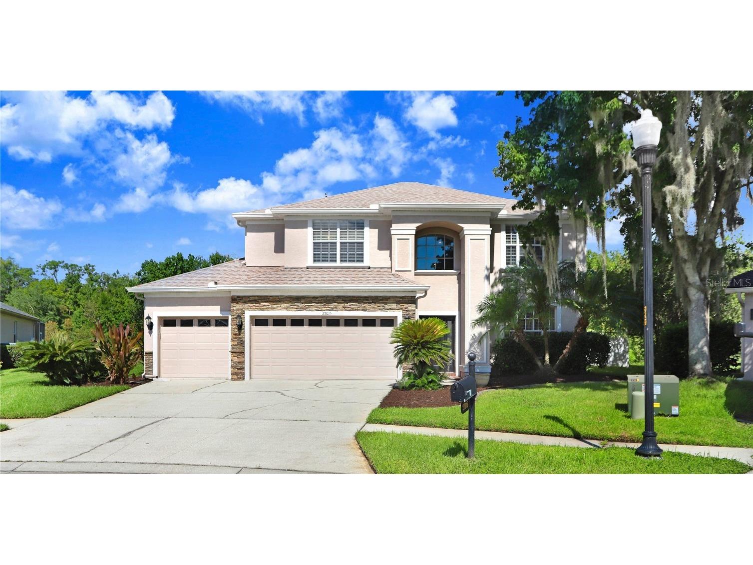 27015 Firebush Drive Wesley Chapel FL 33544 T3542859 image1