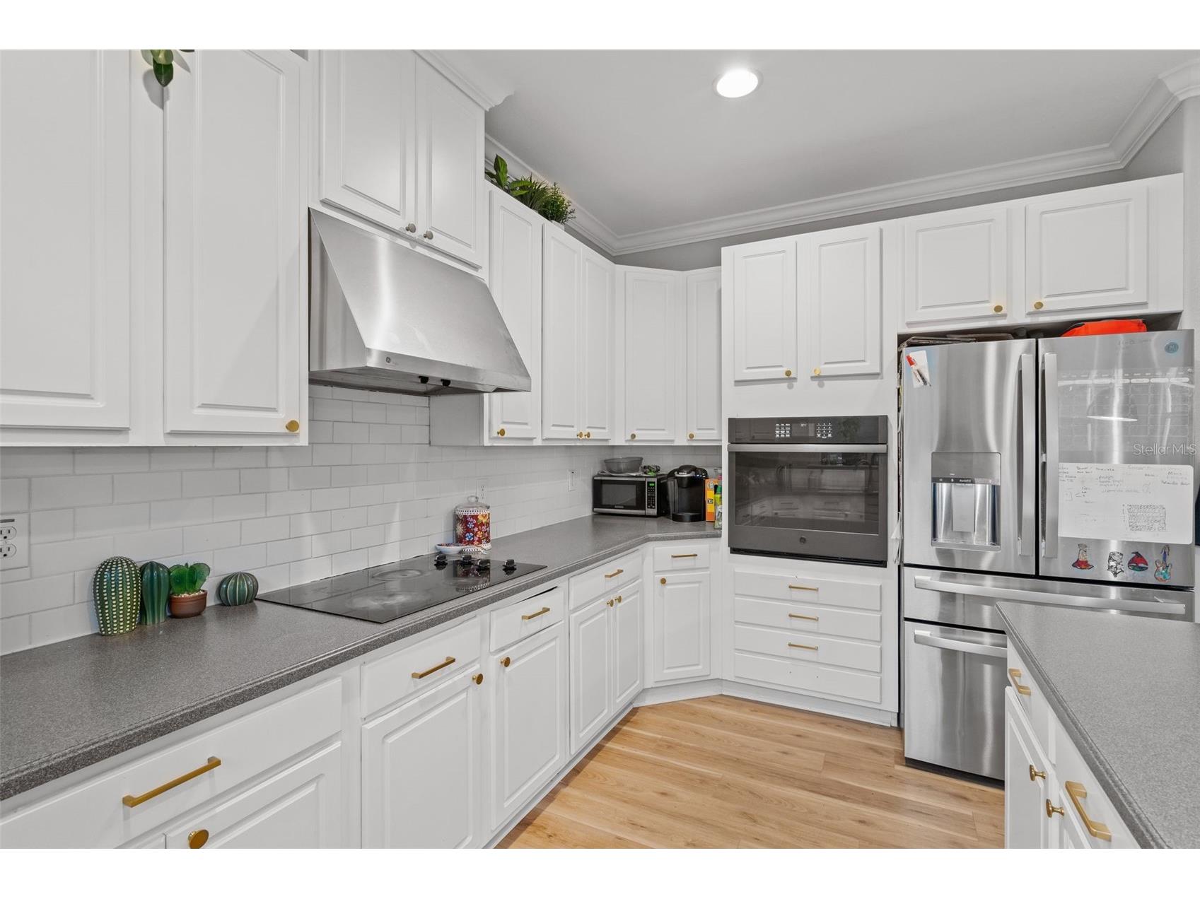 27015 Firebush Drive Wesley Chapel FL 33544 W7887950 image19