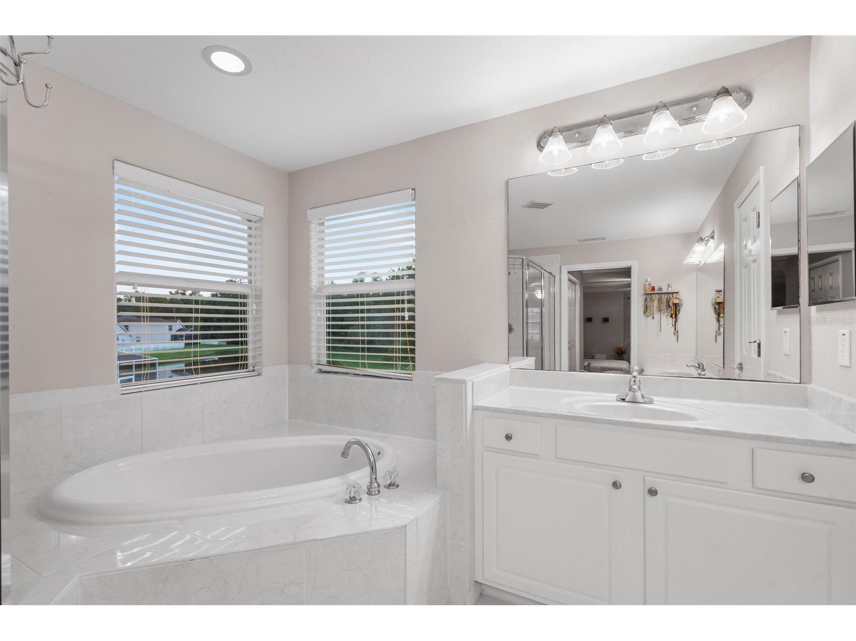27015 Firebush Drive Wesley Chapel FL 33544 W7887950 image38