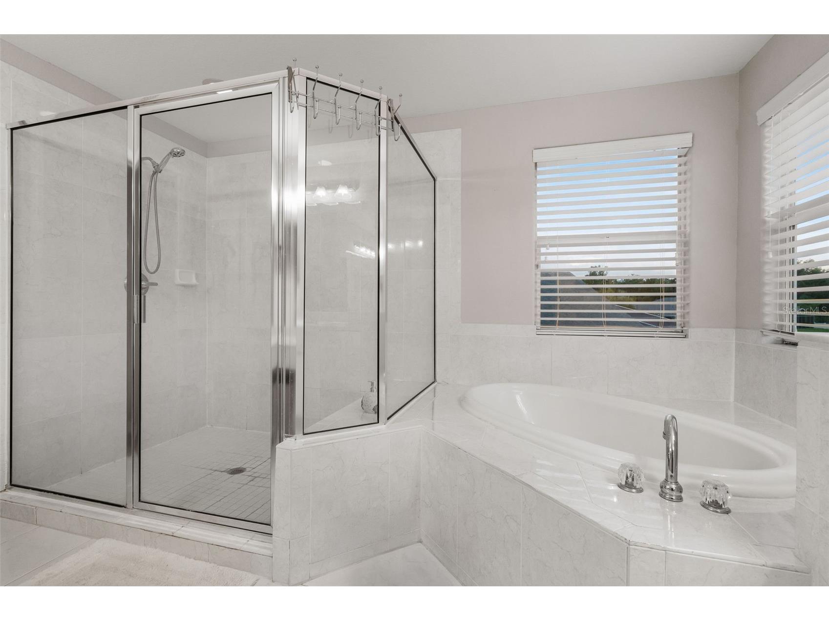 27015 Firebush Drive Wesley Chapel FL 33544 W7887950 image40