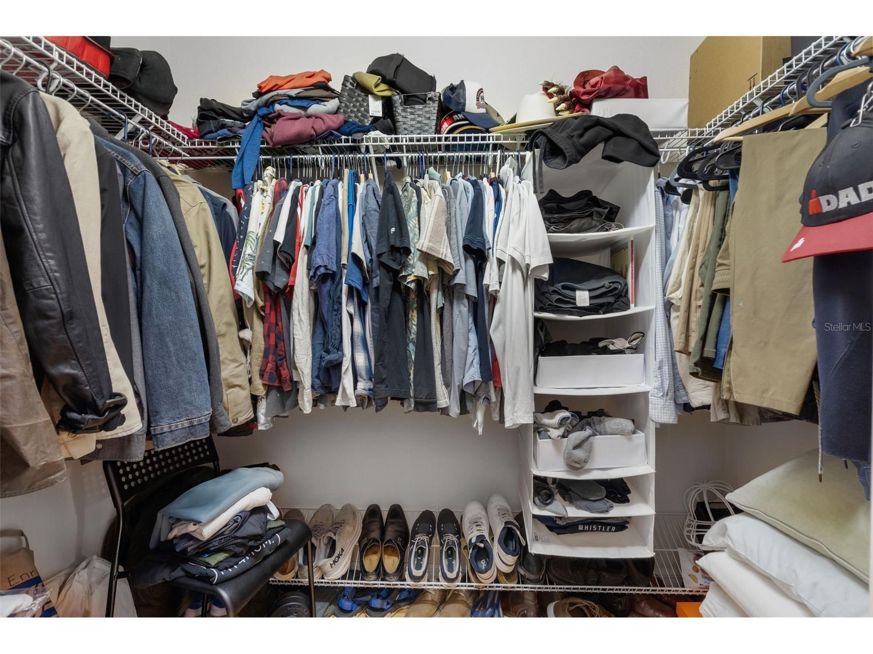 27015 Firebush Drive Wesley Chapel FL 33544 W7887950 image43