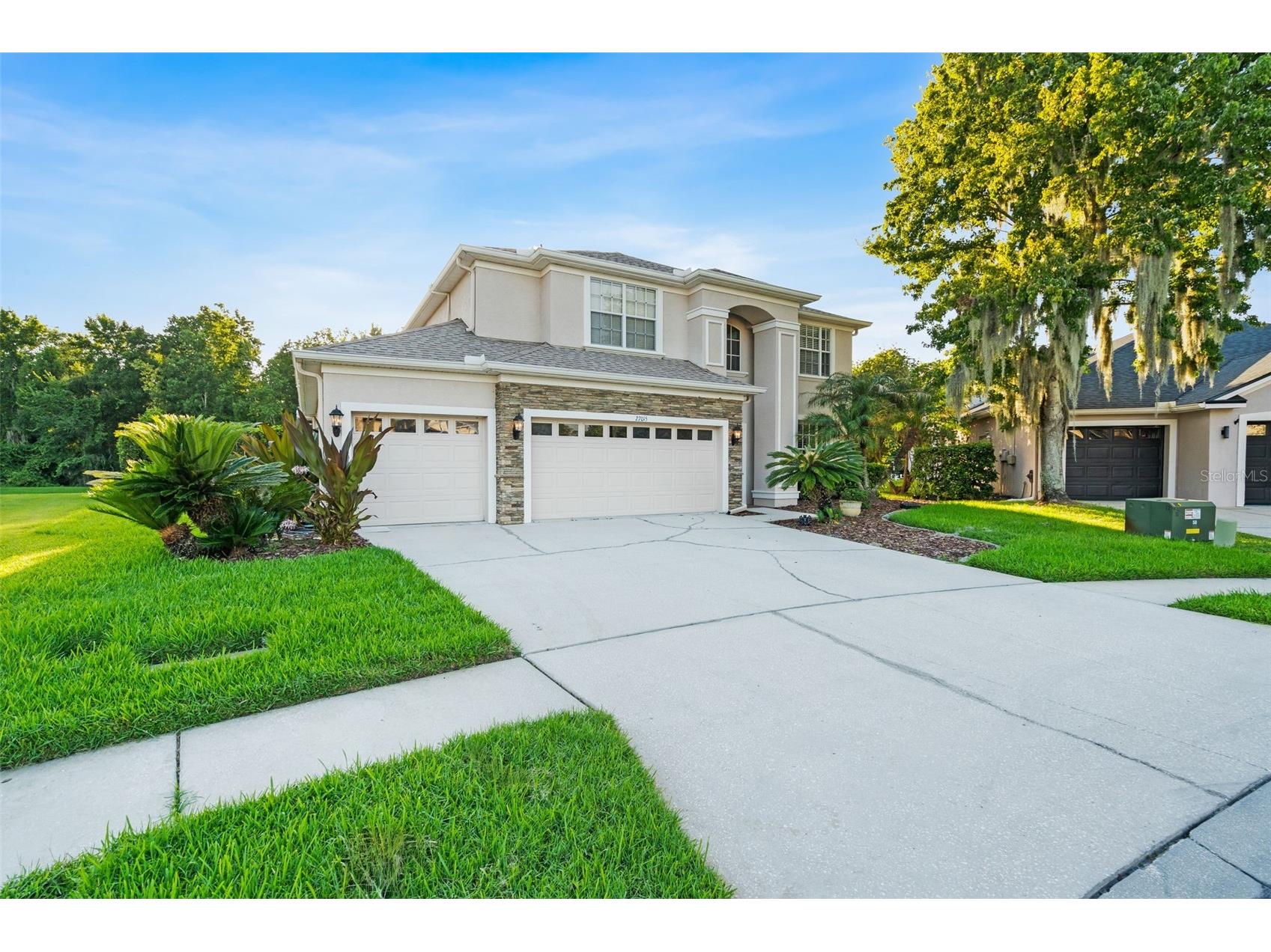 27015 Firebush Drive Wesley Chapel FL 33544 W7887950 image5