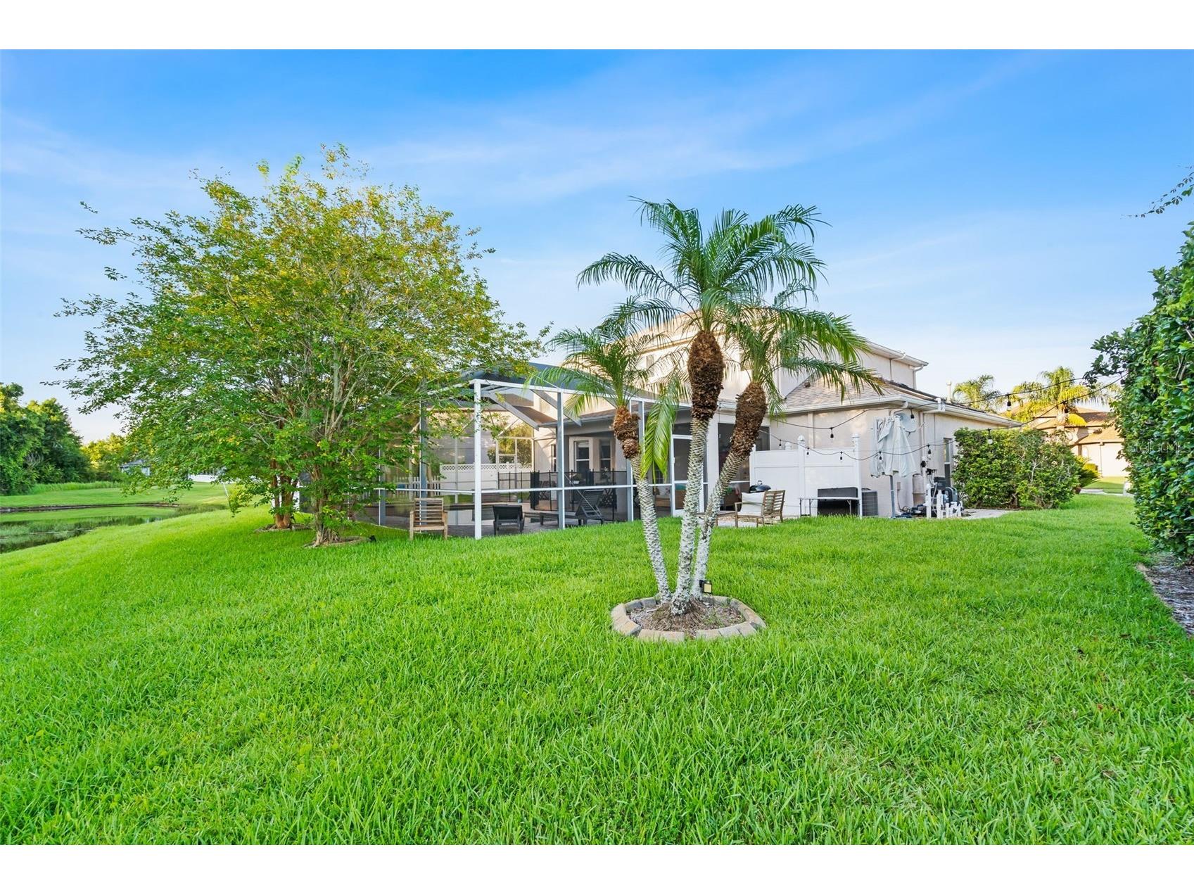 27015 Firebush Drive Wesley Chapel FL 33544 W7887950 image50