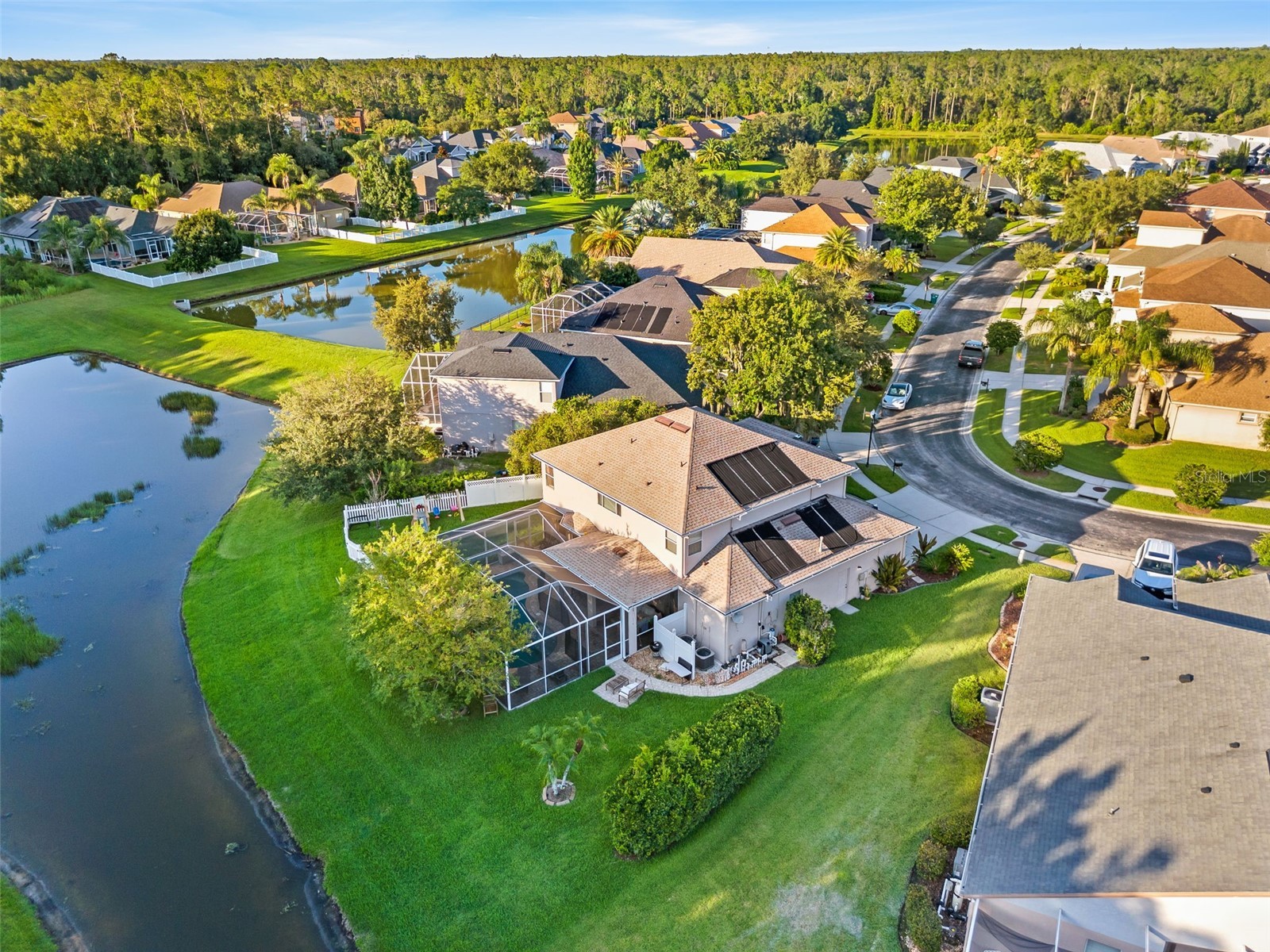 27015 Firebush Drive Wesley Chapel FL 33544 W7887950 image55