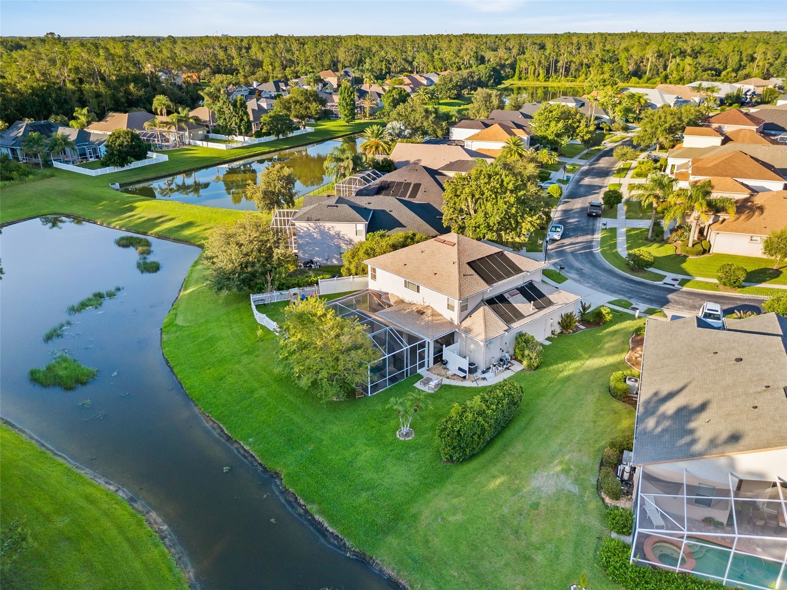 27015 Firebush Drive Wesley Chapel FL 33544 W7887950 image56