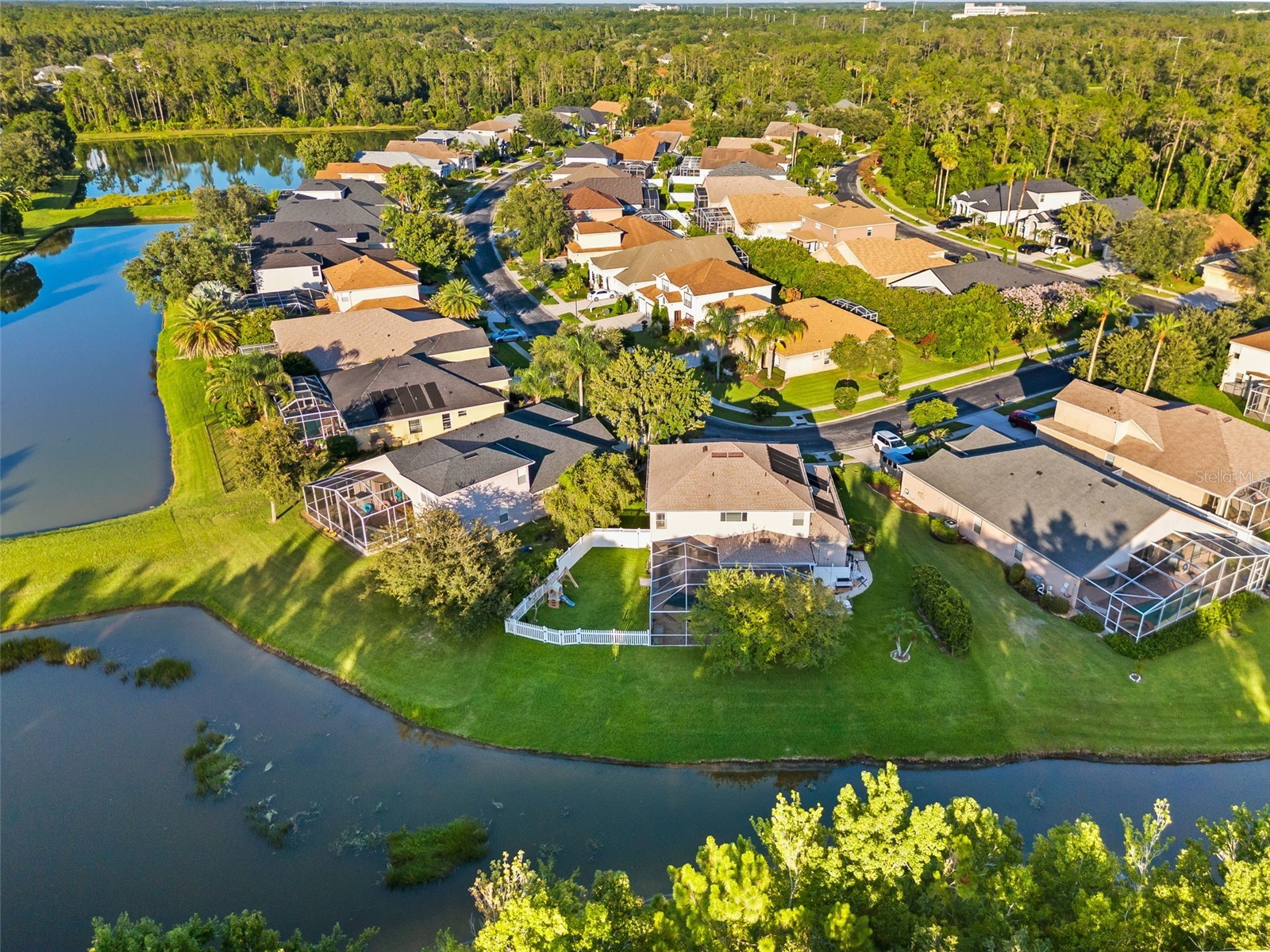 27015 Firebush Drive Wesley Chapel FL 33544 W7887950 image57