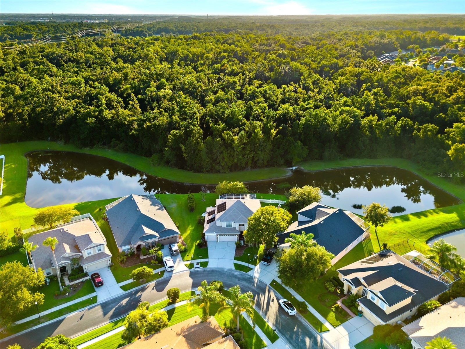 27015 Firebush Drive Wesley Chapel FL 33544 W7887950 image59
