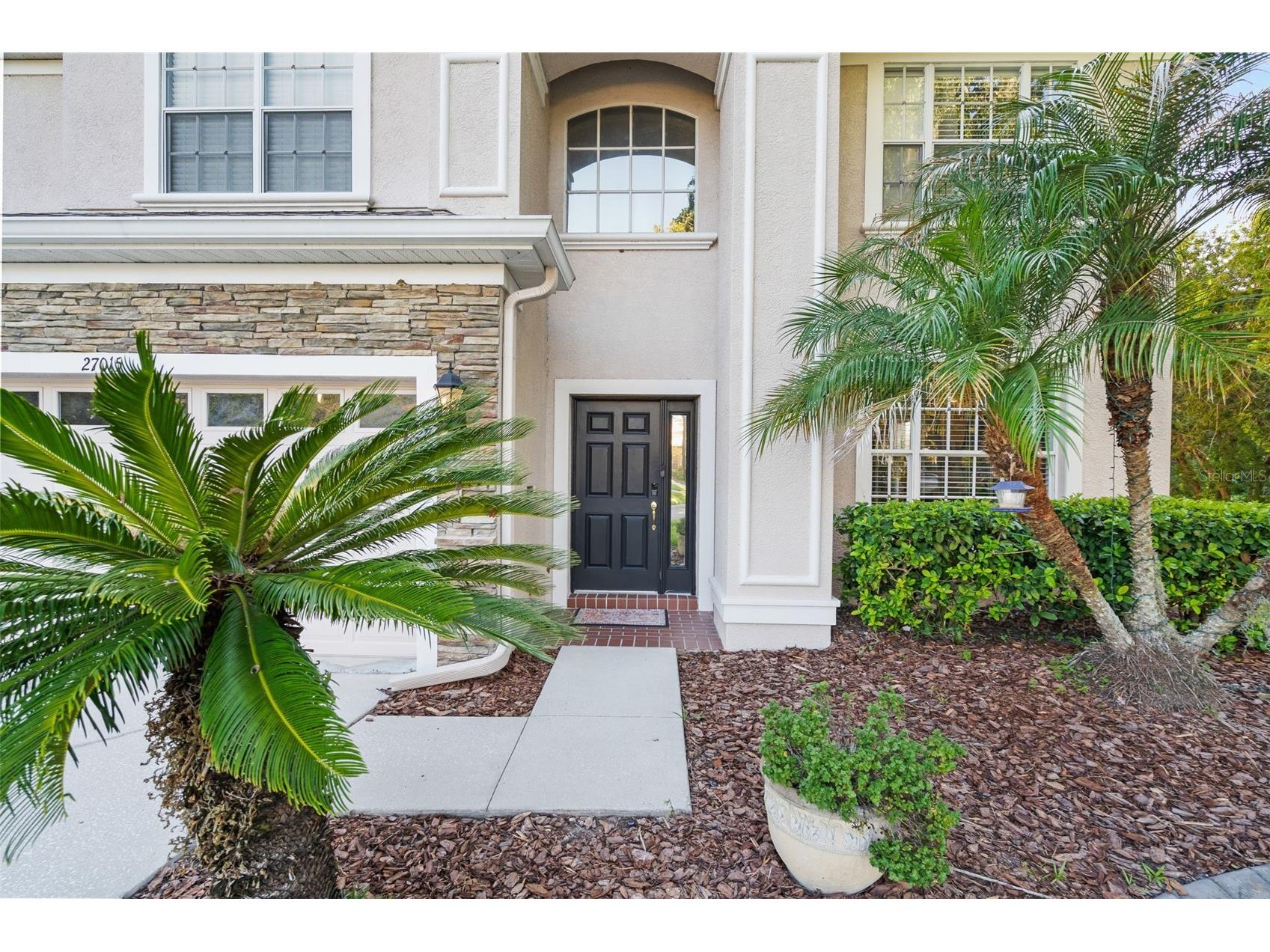 27015 Firebush Drive Wesley Chapel FL 33544 W7887950 image6