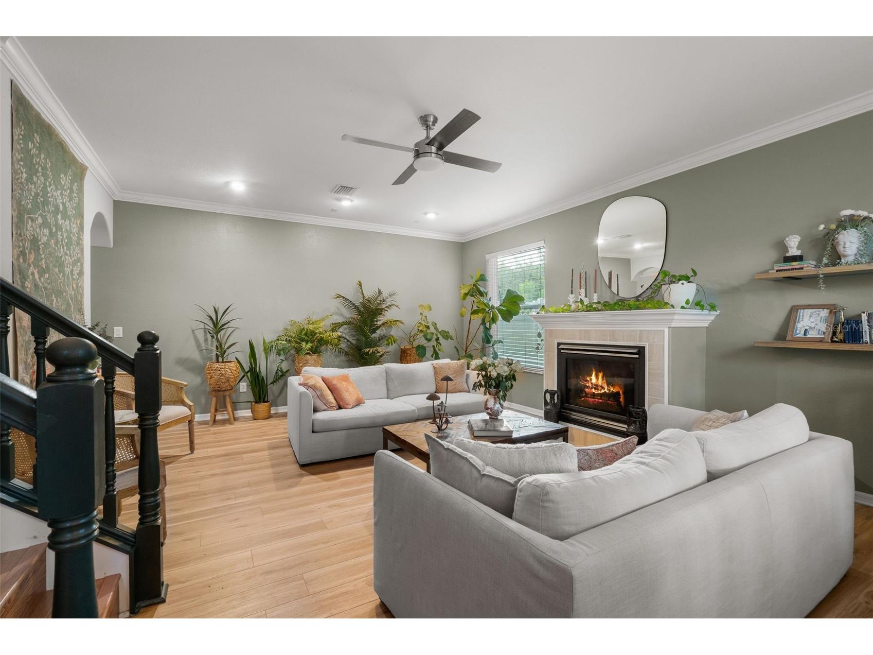 27015 Firebush Drive Wesley Chapel FL 33544 W7887950 image8