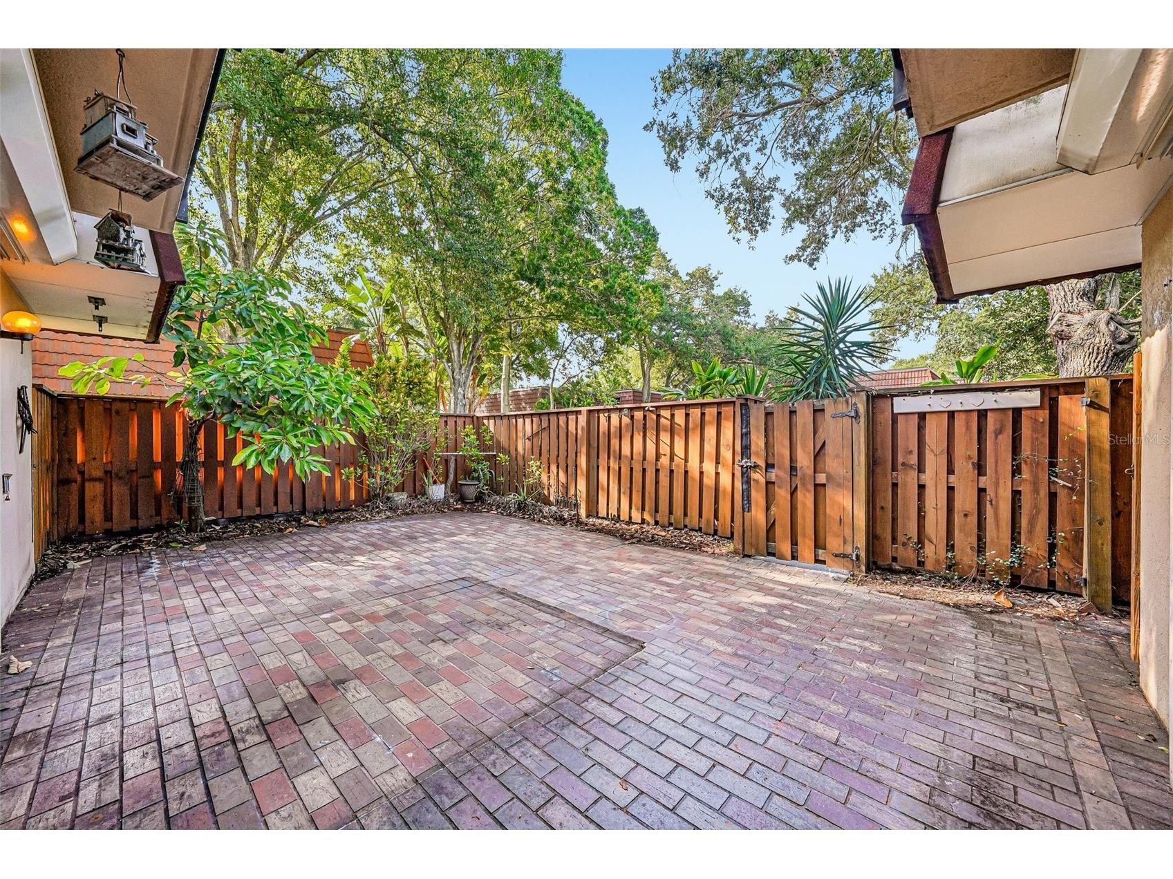 2707 12th Court Palm Harbor FL 34684 TB8511381 image18