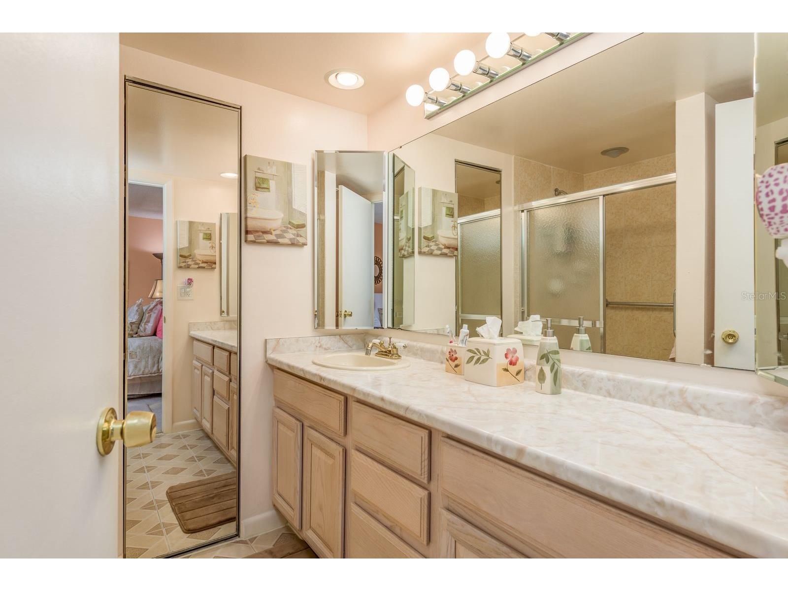 2702 14th Court Palm Harbor FL 34684 TB8475340 image22